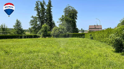 Terrain - 1 445 m²