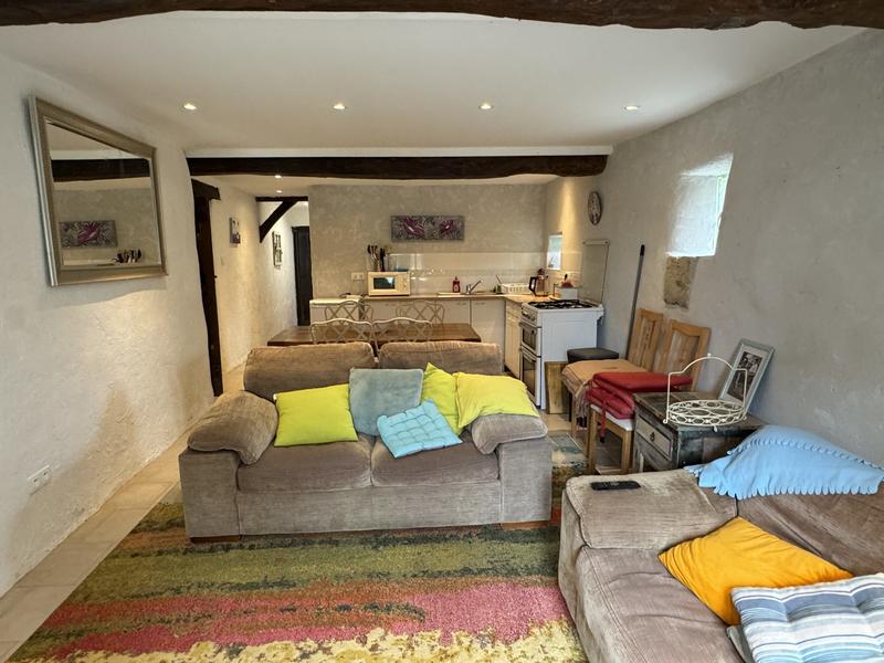 Maison ancienne - 460 m² - 22 pièces