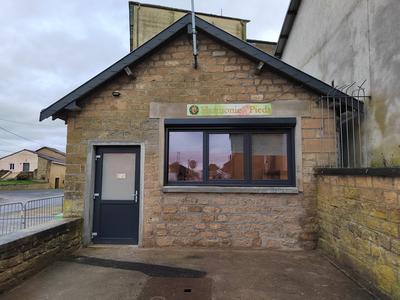 Harmonie Pieds - Réflexologie plantaire