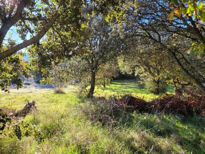 Terrain constructible - 1 000 m²