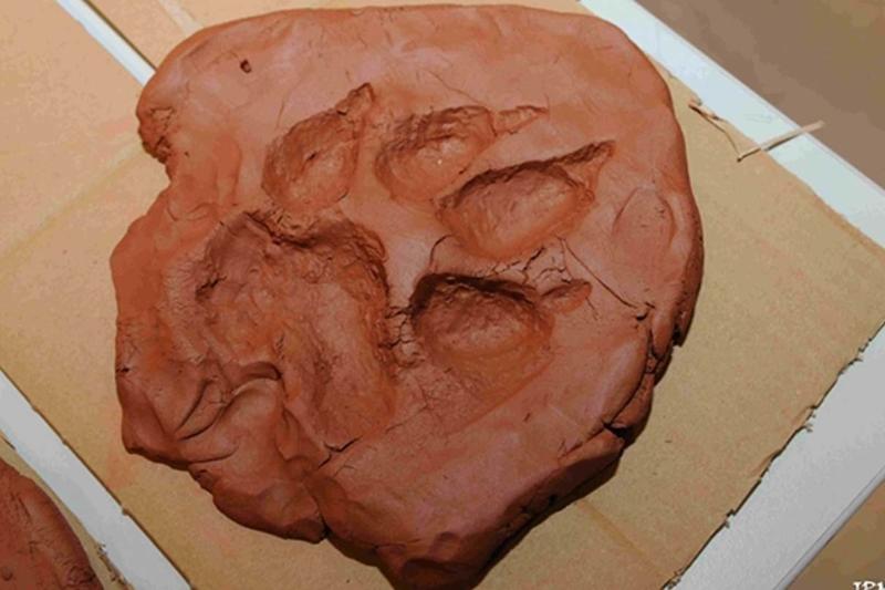 Le Champ du Feu - une station Nature