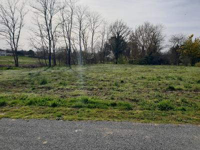 Terrain constructible - 1 320 m²