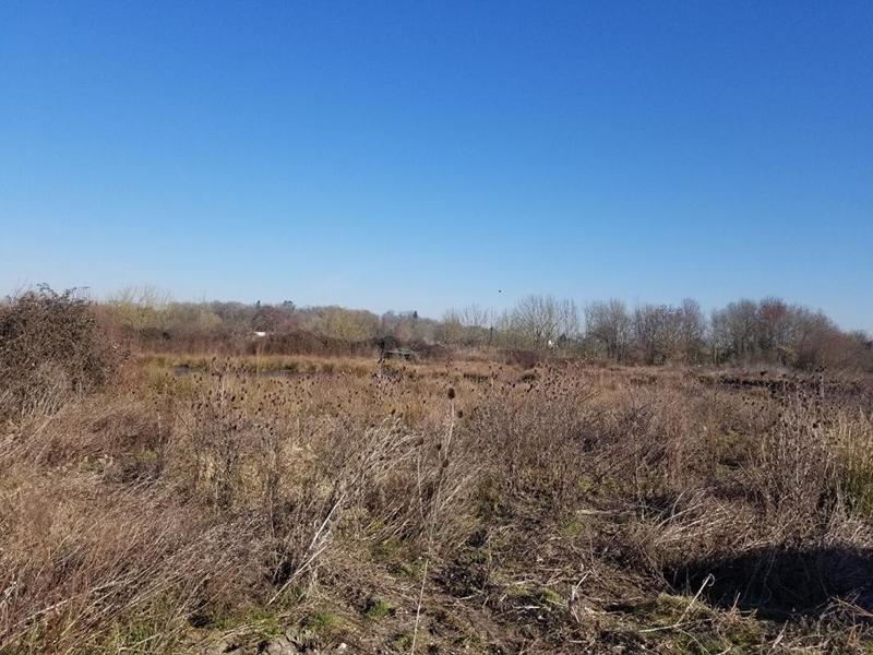 Terrain agricole - 56 000 m²