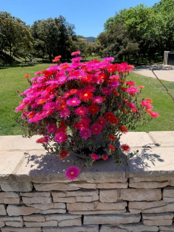 Maison - 155 m² - 6 pièces