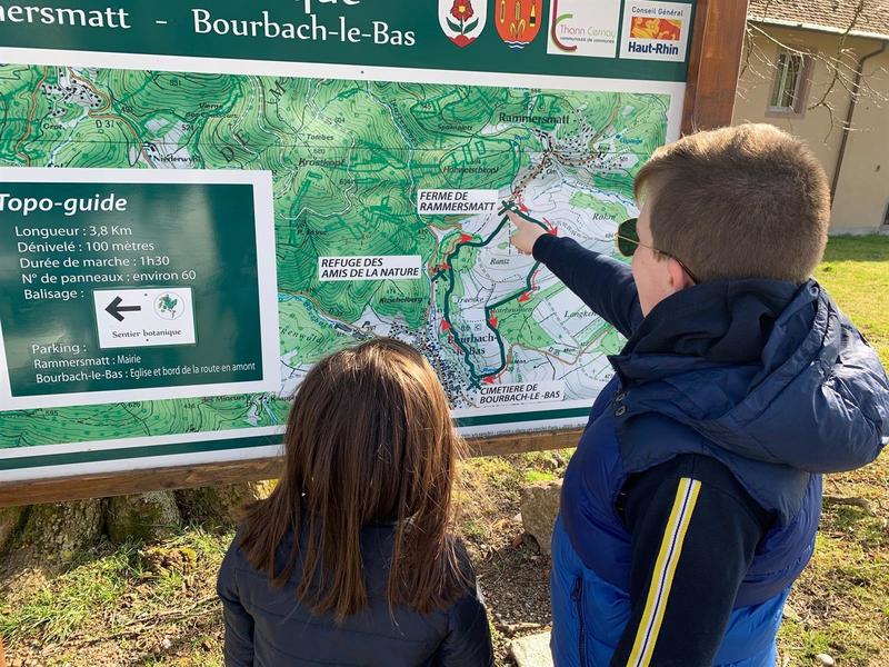 Activité : balade nature