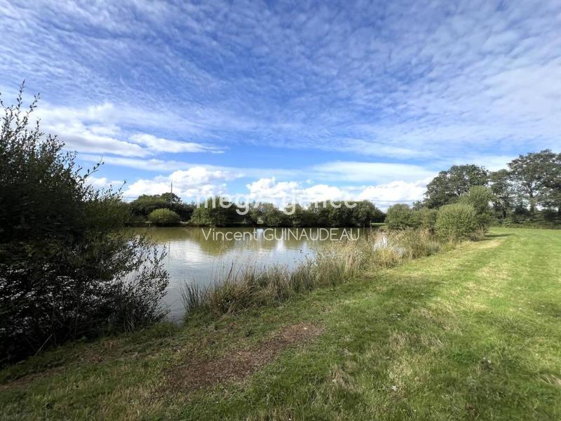 Terrain de loisirs - 12 539 m²