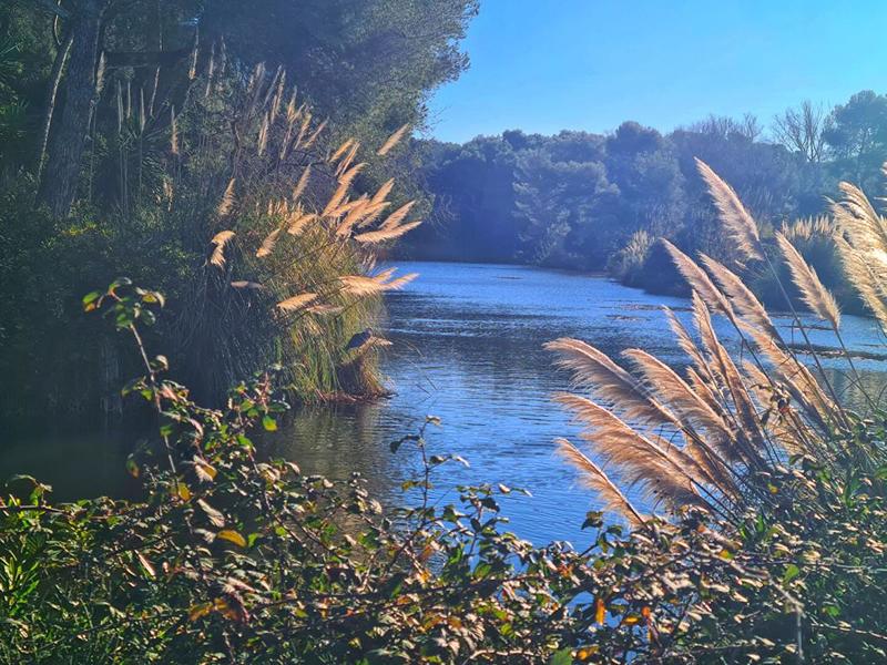 Appartement - 57 m² - 2 pièces