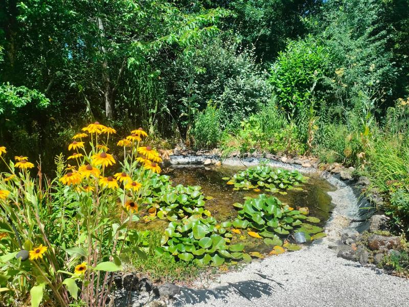 Maison - 165 m² - 5 pièces