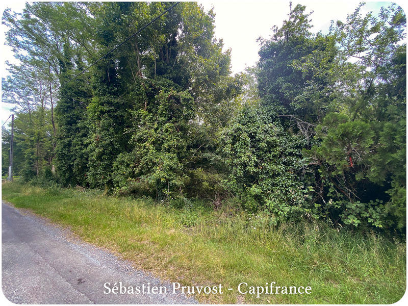 Terrain constructible - 2 600 m²