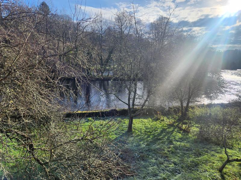 Propriété - 260 m² - 11 pièces