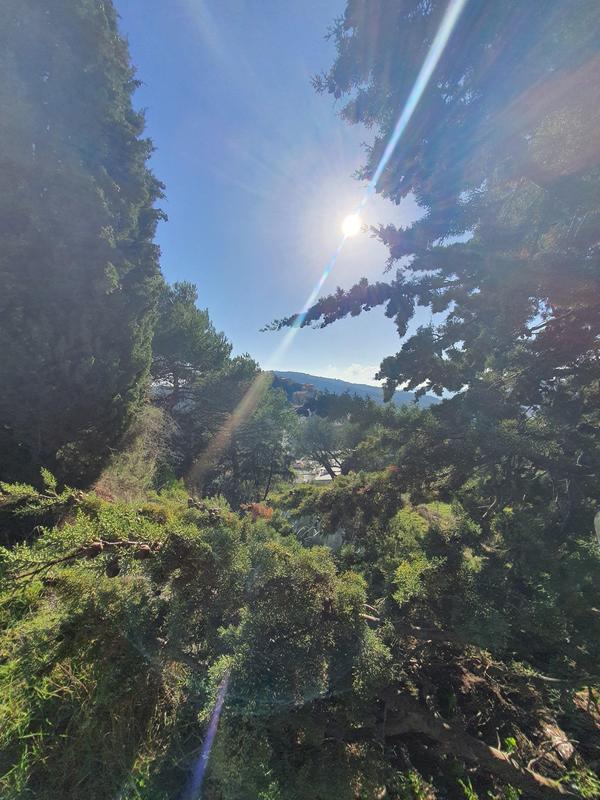 Terrain de loisirs - 6 839 m²