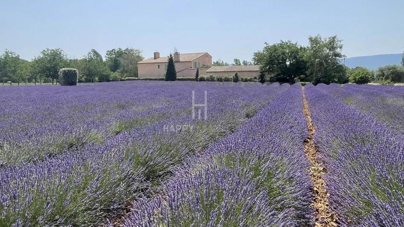 Propriété - 421 m² - 10 pièces