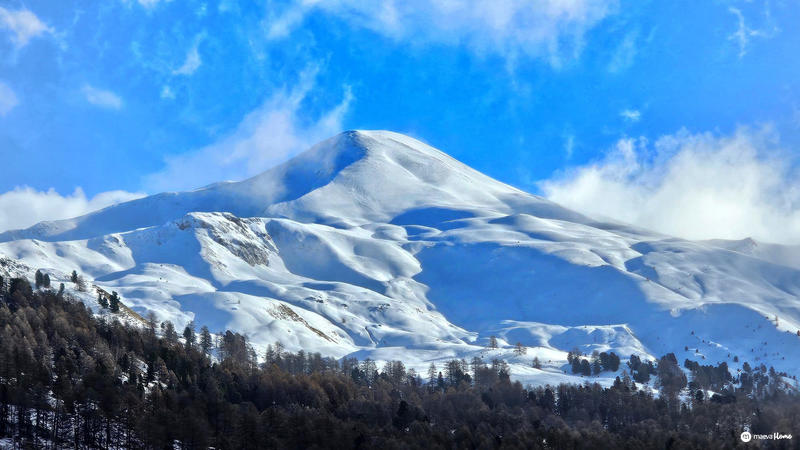 Appartement - 21 m² - 1 pièce