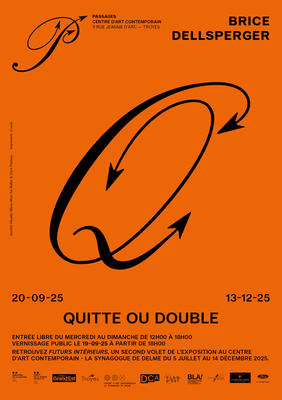 Exposition &quot;Quitte ou Double&quot; de Brice Dellsperger