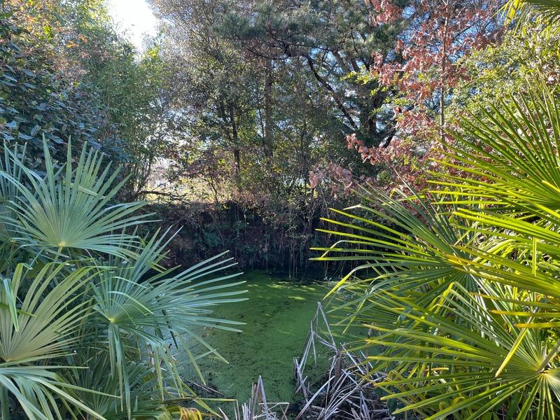 Maison - 160 m² - 8 pièces