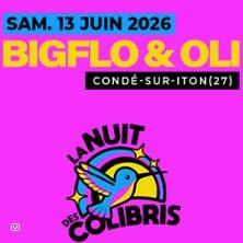 Bigflo et Oli - Festival la Nuit des Colibris