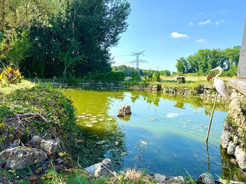 Propriété - 320 m² - 10 pièces