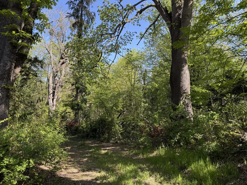 Villa - 320 m² - 9 pièces