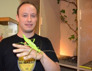 Insectarium de Lizio