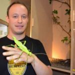 Insectarium de Lizio