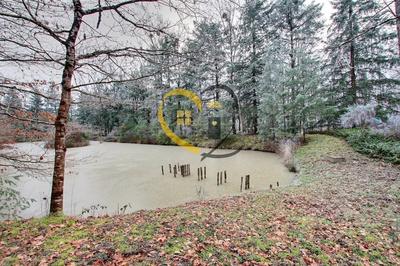 Terrain inconstructible - 10 477 m²