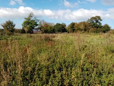 Terrain constructible - 2 538 m²