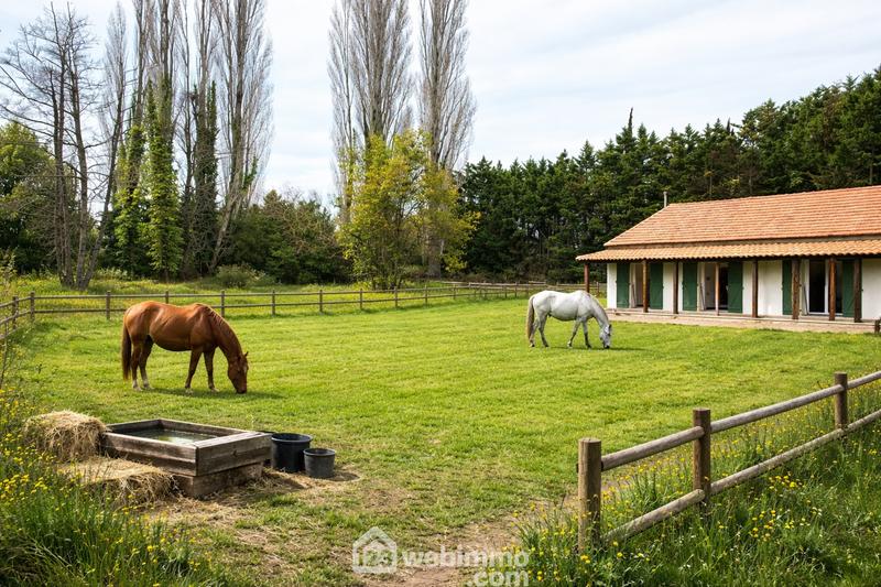 Maison - 136 m² - 4 pièces