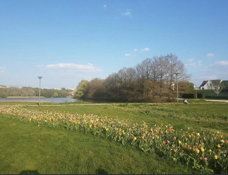 Appartement - 35 m² - 2 pièces