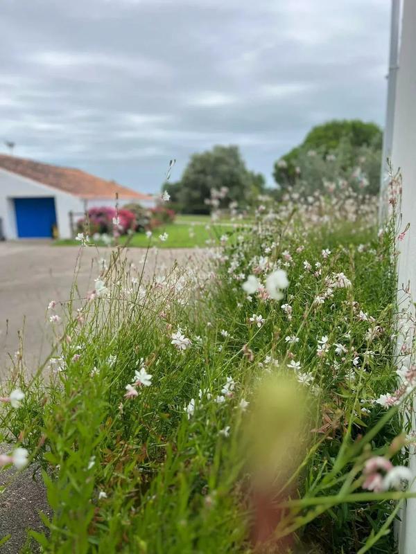 Maison - 200 m² - 11 pièces