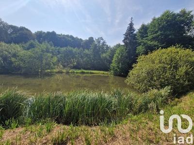 Terrain - 10 000 m²