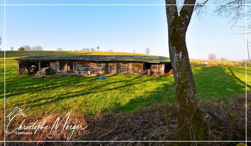 Maison de campagne - 490 m² - 15 pièces