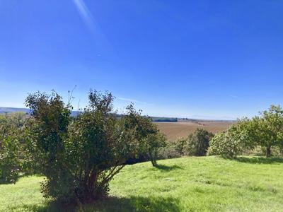 Villa - 233 m² - 8 pièces