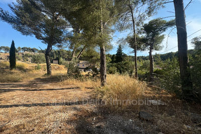 Terrain - 2 000 m²