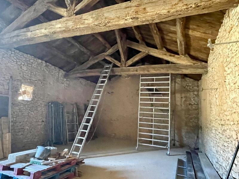 Château - 600 m² - 6 pièces