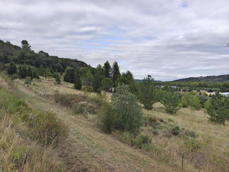 Terrain constructible - 8 095 m²