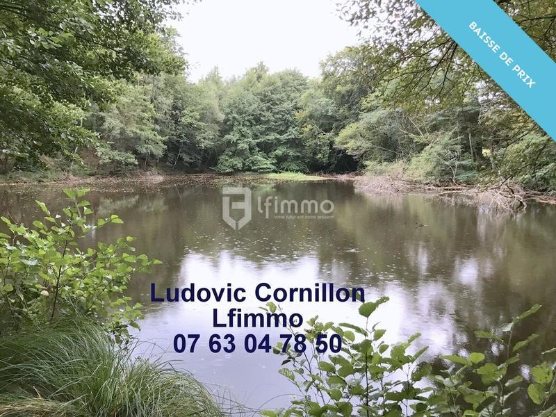 Propriété - 210 m² - 8 pièces