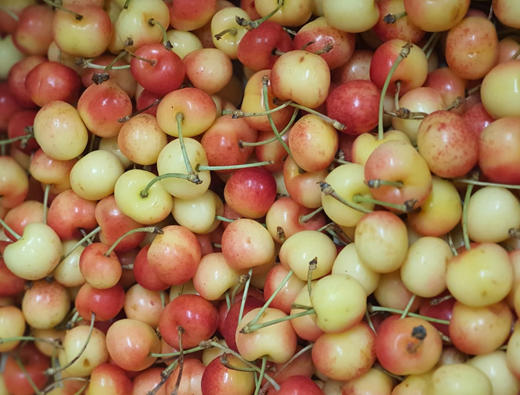 Saveurs O'Naturel - la Baule Lajarrige