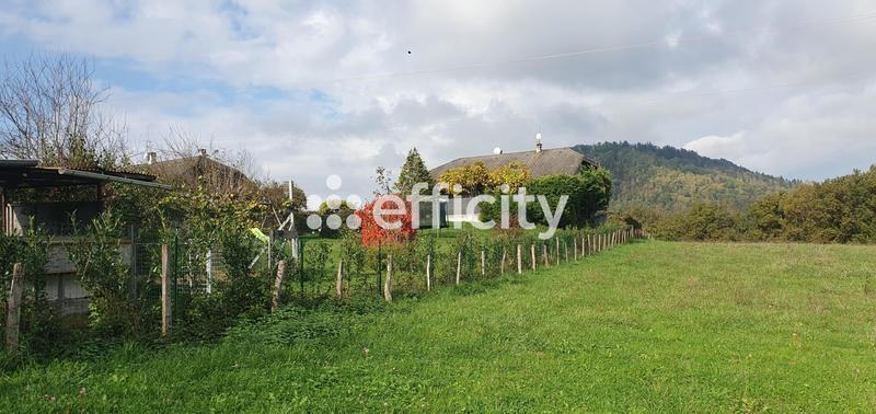 Maison - 193 m² - 7 pièces