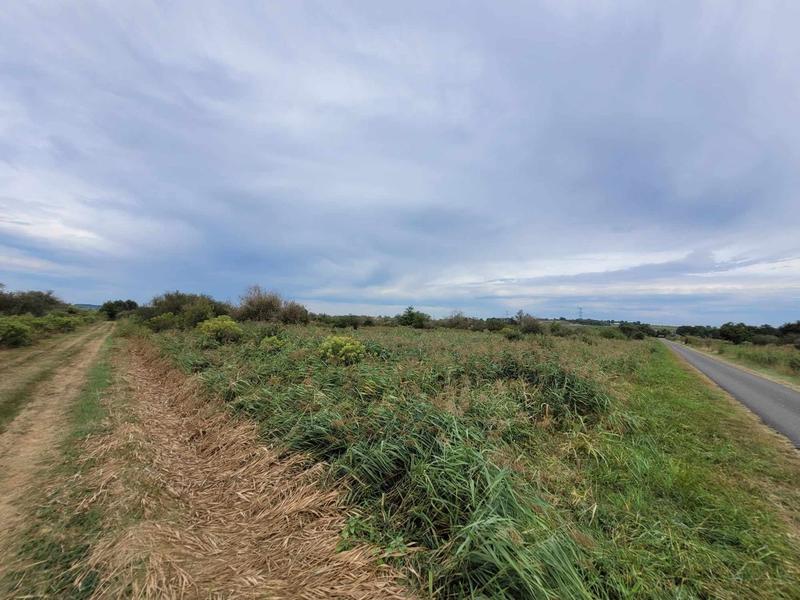 Terrain - 10 314 m²