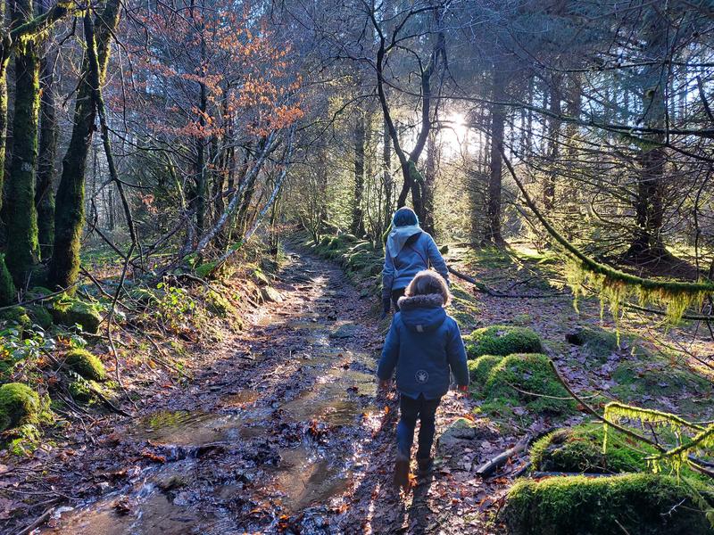 Festival Printemps de Haute-Corrèze "Randonnée artistique à Chamboux"