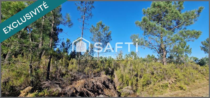 Terrain - 80 660 m²