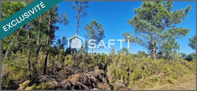 Terrain - 80 660 m²