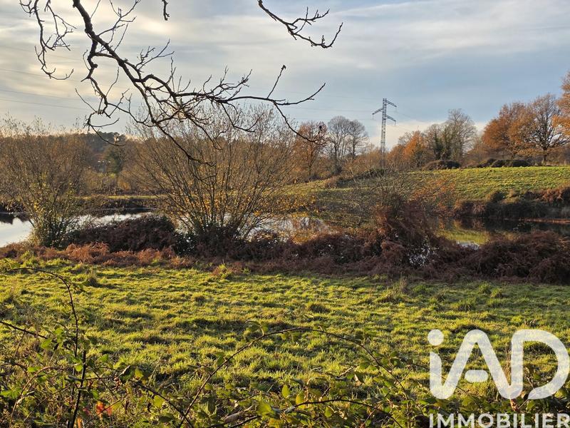 Terrain - 41 275 m²