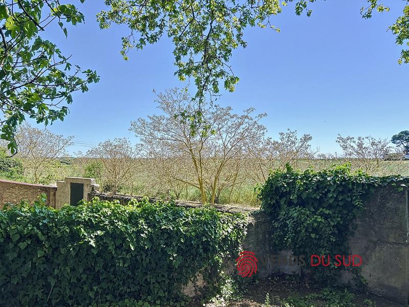 Viager - Demeure - 223 m² - 6 pièces