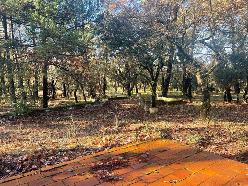 Maison - 85 m² - 3 pièces