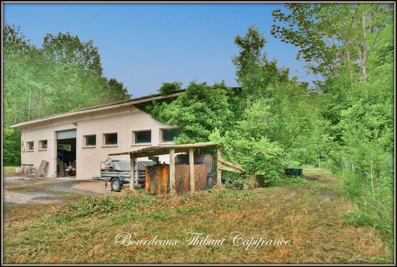 Entrepôt - 220 m² - 1 pièce