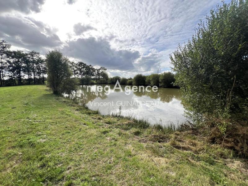 Terrain de loisirs - 12 539 m²