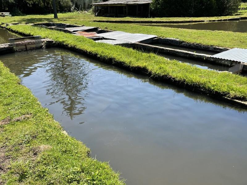 Maison ancienne - 50 m² - 3 pièces