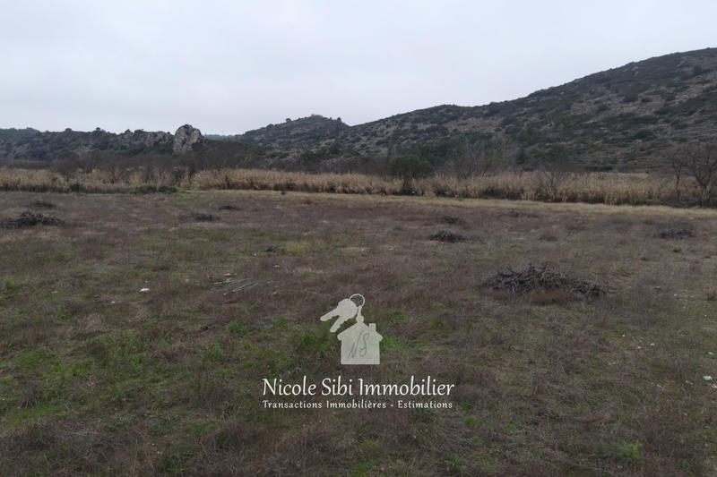 Terrain agricole - 9 980 m²