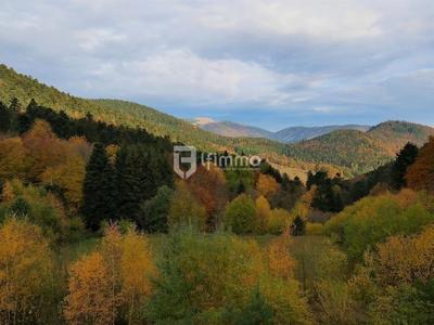 Immeuble - 5 000 m² - 21 pièces